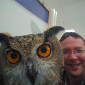 User picture for Steve Sharpe