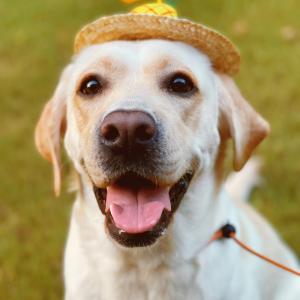 User picture for Wenjuan Li